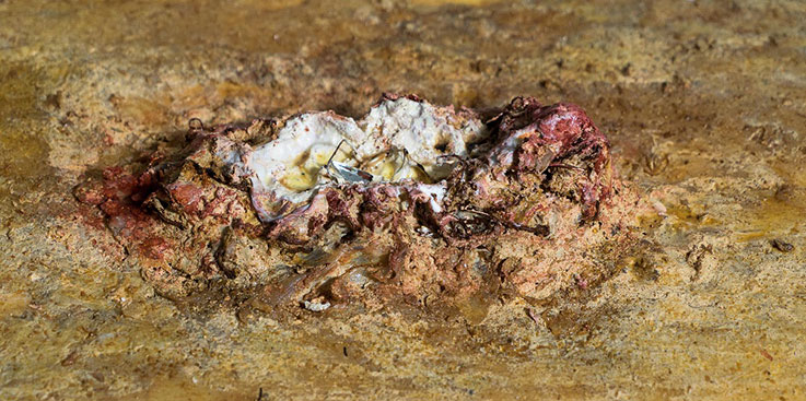 Sleeping_Volcano_no_24_Ausschnitt Peter_Holz_Sleeping_Volcano's